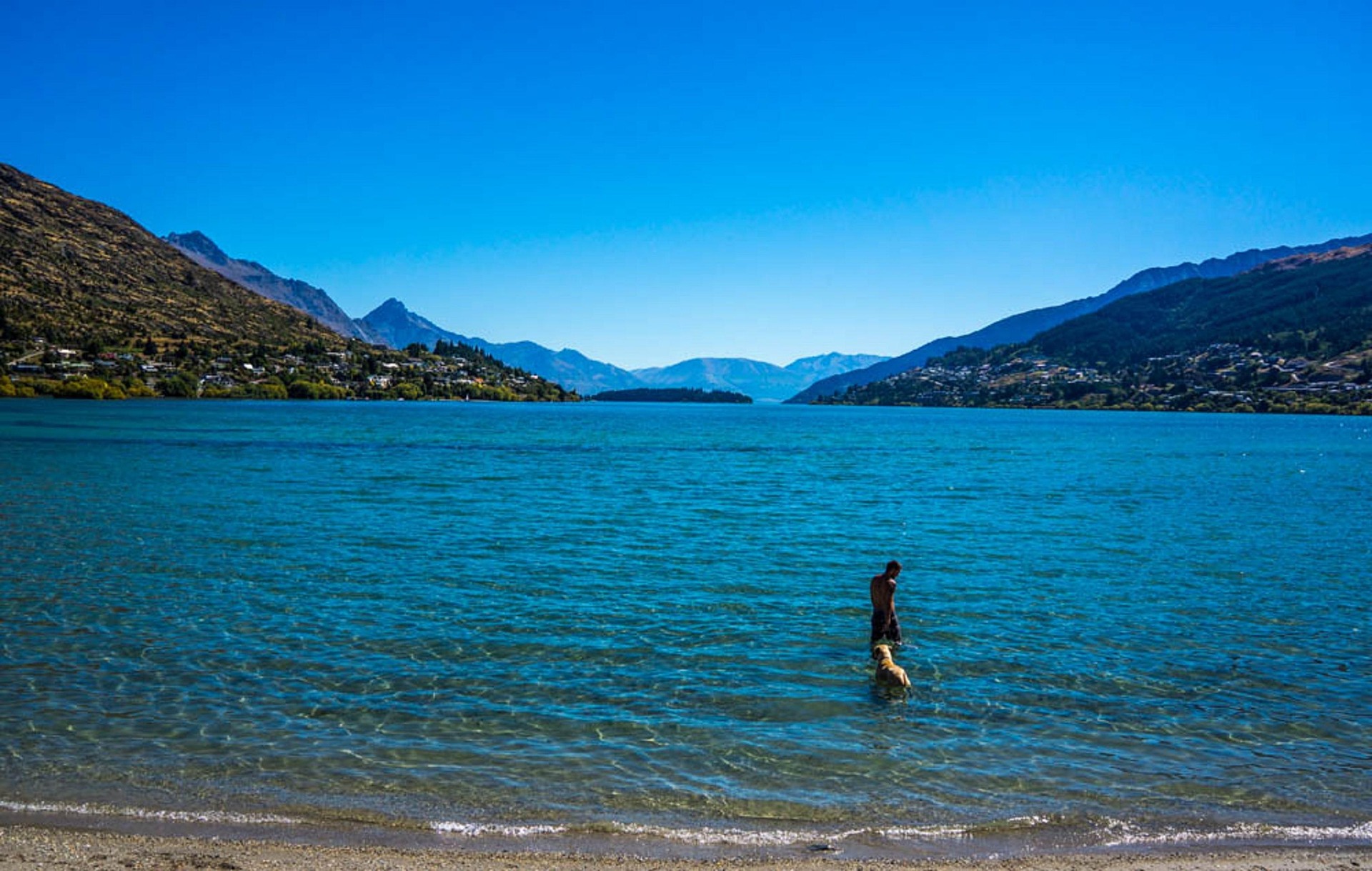 An man and his dog walking into the ocean