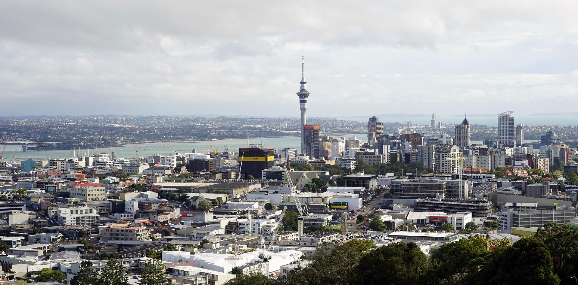 The city of Auckland